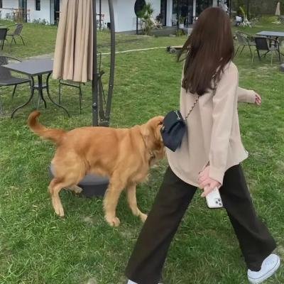 儿童总裁